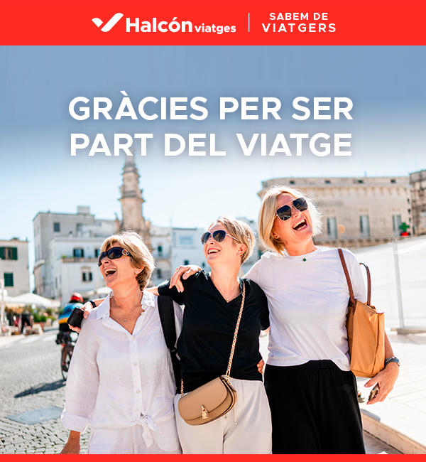 HALCÓN VIATGES